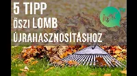 5 trükk lomb gyors összegyűjtéséhez, újra hasznosításhoz. Kertészeti titkok, amelyről lehet, hogy még nem hallottál! 🍂🌿