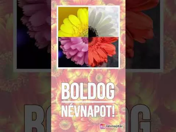 Boldog névnapot, Mária!