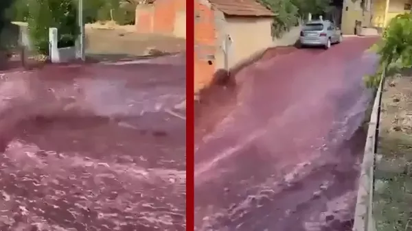 Palack helyett az utcára került 2 millió liter vörösbor! Nézd meg, hogyan hömpölyög a Vörösborfolyó! Videó