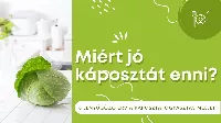 Fogyás káposztával! A káposzta jótékony hatásai!  8 ok amiért érdemes káposztát fogyasztani! Recept a fogyáshoz!