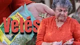 Az utolsó pillanatok a téli alá vetésre