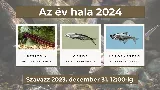 Melyik hal lesz az év hala 2024-ben? - itt az idő választani!