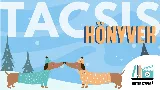 Tacsis mesék - tacskókalandok minden mennyiségben