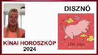 Kínai Horoszkóp DISZNÓ 2024 - éves előrejelzés, jóslás, jövendölés