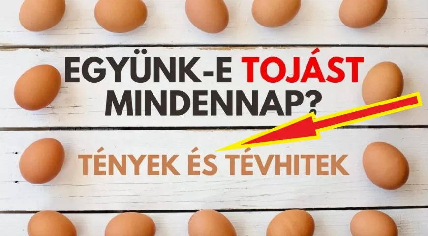 Mennyire egészséges a tojás fogyasztása napi szinten?