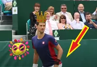 Vicces pillanatok 🤣, amikor nem tudod megállni, hogy ne nevess! Egy legenda késztet mosolyra Novak Djokovic 🎾🥎