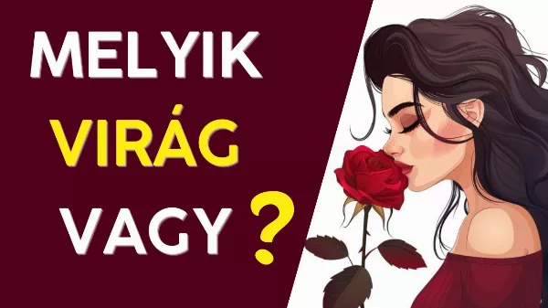 Melyik virág vagy?🌸🌻🌹💐 Ha szeretnéd tudni melyik virág jellemzi a legjobban a személyiséged válaszolj 10 kérdésre!