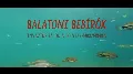 Lénai tokok a Balatonban? Az inváziós fajok veszélyeiről
