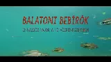Lénai tokok a Balatonban? Az inváziós fajok veszélyeiről