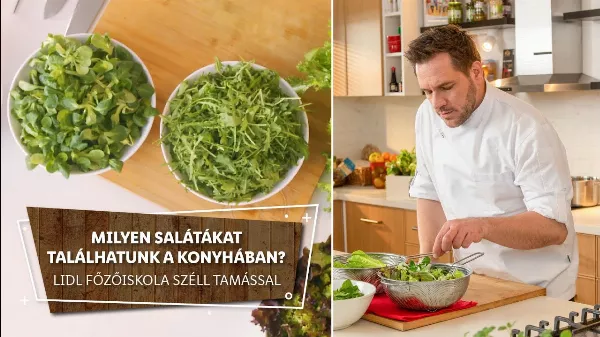 Friss Zöld Saláta Mix: Egészséges és ízletes saláta recept 🌿 Milyen salátákat, milyen ételhez találjunk a konyhában? 🌿 