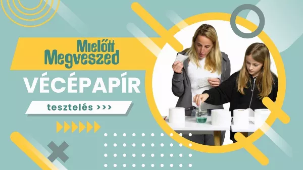 Nagy WC papírteszt: megéri a drágább tekercset venni? 🧻 Árak és Minőség Összehasonlítása - Lidl, Auchan, Aldi, DM, Zewa, Regina