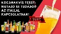 Kocsmakvíz Teszt: Mutasd Be Tudásod Az Itallal Kapcsolatban!