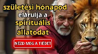 Tudod, mi a spirituális állatod? Tudd meg, melyik spirituális állat védelmez születési hónapod alapján!