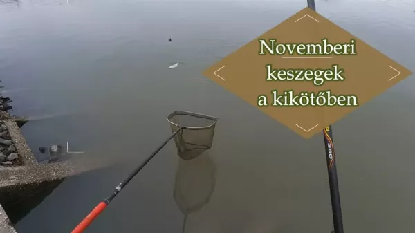 Lefinomított keszeghorgászat a lehűlt vizekben: 5 hasznos tanács | Horgászvideók