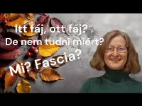 Itt húz, ott feszül, de miért? Ismerd meg a kötőszövet titkát!