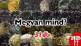 Hihetetlen kincsek! 27 emlékérme, amik birtoklásával évek múlva gazdag lehetsz! Tudod milyen érték birtokában vagy?