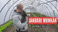 Januári kerti előkészítő munkálatok: Így alapozd meg a bőséges termést!