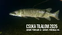 Csukázás utoljára! Február 3-án indul a csuka tilalom – a hétvégén még kifoghatod az év ragadozóját!