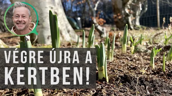 Kora februári teendők - Így vágd vissza az évelőket tavasszal – 5 tipp, hogy a kerted ragyogjon!