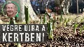 Kora februári teendők - Így vágd vissza az évelőket tavasszal – 5 tipp, hogy a kerted ragyogjon!