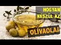 Hogyan lesz az olajbogyóból olíva olaj? Megmutatom 3 percben! 