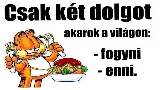 5 titkos trükk, amivel az életmódváltás éhezés nélkül is működik!