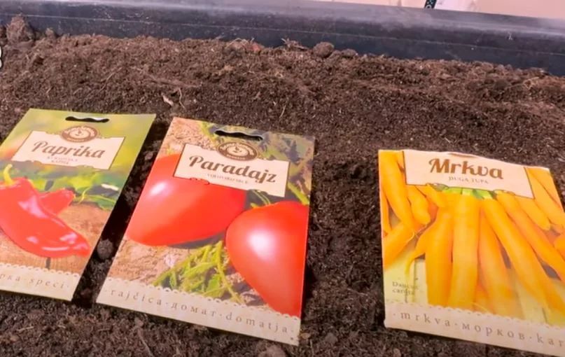 paradicsom paprika sárgarépa mag vetemény vetés kert