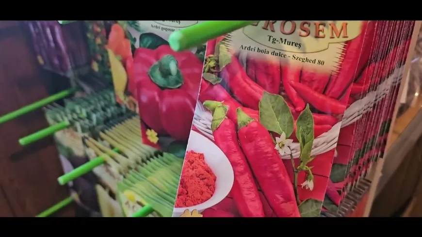 Paprika ültetés tavasszal – Most van itt az ideje!