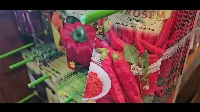 Paprika ültetés tavasszal – Most van itt az ideje!