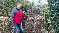 Hortenzia metszés 4 lépésben – Így lesz hatalmas a virágod