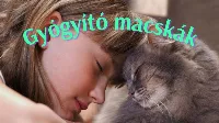 Gyógyító macskák   🐈  Akinek macskája van nagy eséllyel tovább él