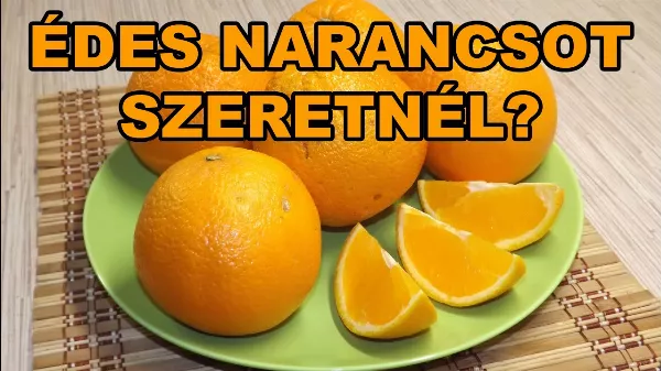 Ez a 3 jel árulja el, hogy a narancs 🍊 édes vagy csalódást okoz