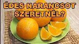 Ez a 3 jel árulja el, hogy a narancs 🍊 édes vagy csalódást okoz