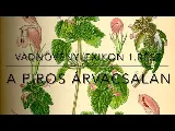 A piros árvacsalán 5 rejtett gyógyhatása, amit a mező szélén találhatsz