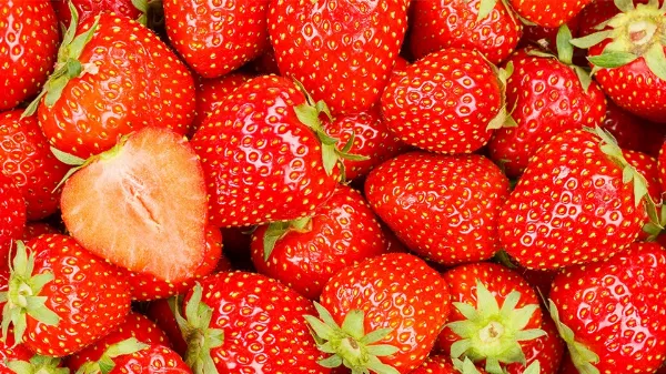 Epertermesztés otthon: így nevelj zamatos szamócát a kertedben vagy balkonon