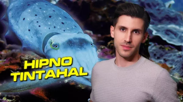 A varázslatos hipnotikus tintahal – Dancsó Péter újra alámerül
