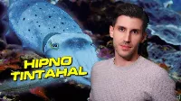 A varázslatos hipnotikus tintahal – Dancsó Péter újra alámerül