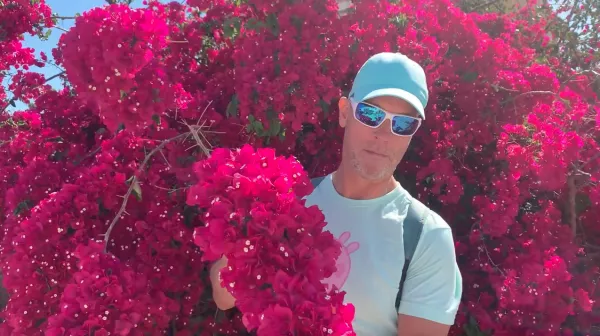 bougainvillea szaporítása dugványozása ültetése