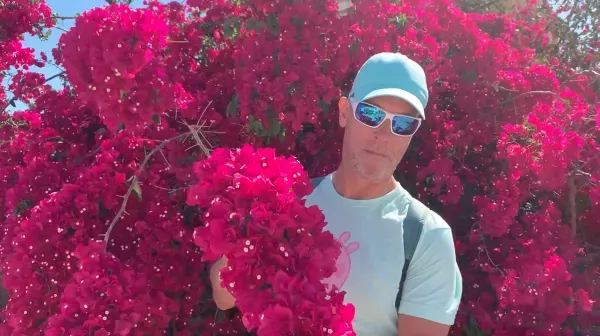 5 titkos módszer, ahogy a bougainvillea otthon is elszaporítható