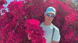 5 titkos módszer, ahogy a bougainvillea otthon is elszaporítható