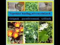 3 házi tápoldat recept, amitől a virágzás beindul és a terméshozam megnő
