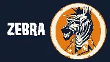 Bankrupt – Zebra: A magyar punk-rock tükröt tart a rendszernek