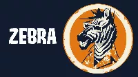 Bankrupt – Zebra: A magyar punk-rock tükröt tart a rendszernek