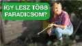 Így ültesd el helyesen a paradicsompalántát – profi módszer  🍅🌱 — így lesz belőle a legjobb paradicsom!