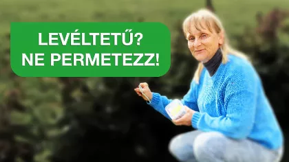 Levéltetvek a kertedben? 5 bio módszer, amit a profik is használnak! 🌿🐞 