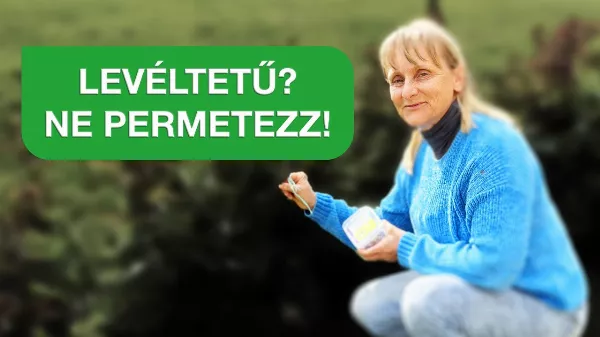 Levéltetvek a kertedben? 5 bio módszer, amit a profik is használnak! 🌿🐞 