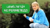 Levéltetvek a kertedben? 5 bio módszer, amit a profik is használnak! 🌿🐞 