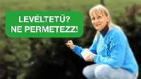 Levéltetvek a kertedben? 5 bio módszer, amit a profik is használnak! 🌿🐞 