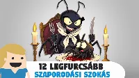 Elképesztő, hogyan párosodnak az állatok – a legfurcsább szokások nyomában