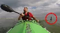 6 sokkoló cápatámadás, ami után kétszer is meggondolod, hogy vízbe menj